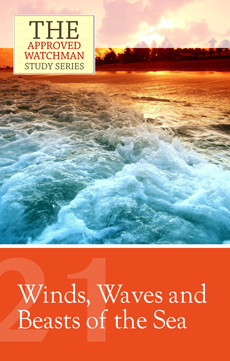 lesson-aw-21-winds-waves-and-beasts-of-the-sea.jpg